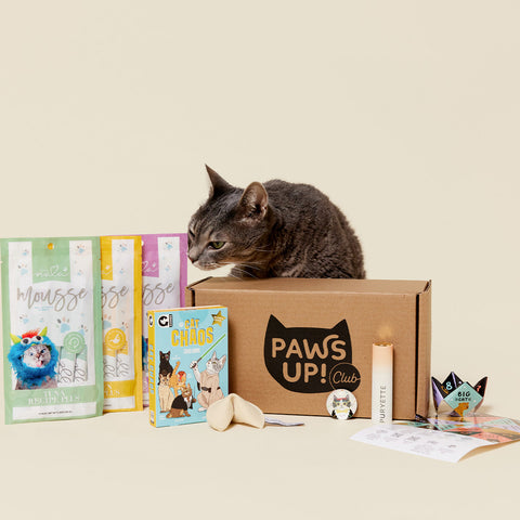 Paws Up Club Box - The Good Fortune Curation