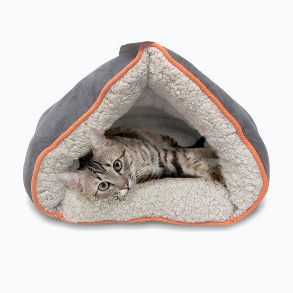 Ellen degeneres cat bed hotsell