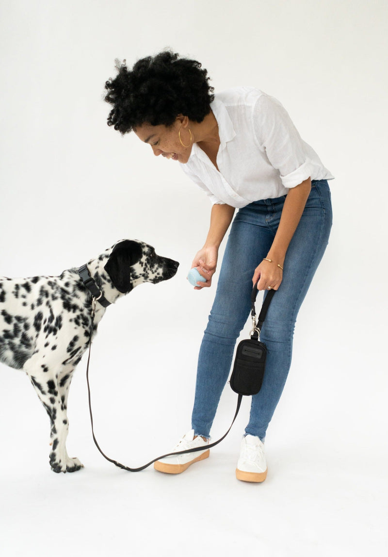 Walk Bag + Leash by Springer