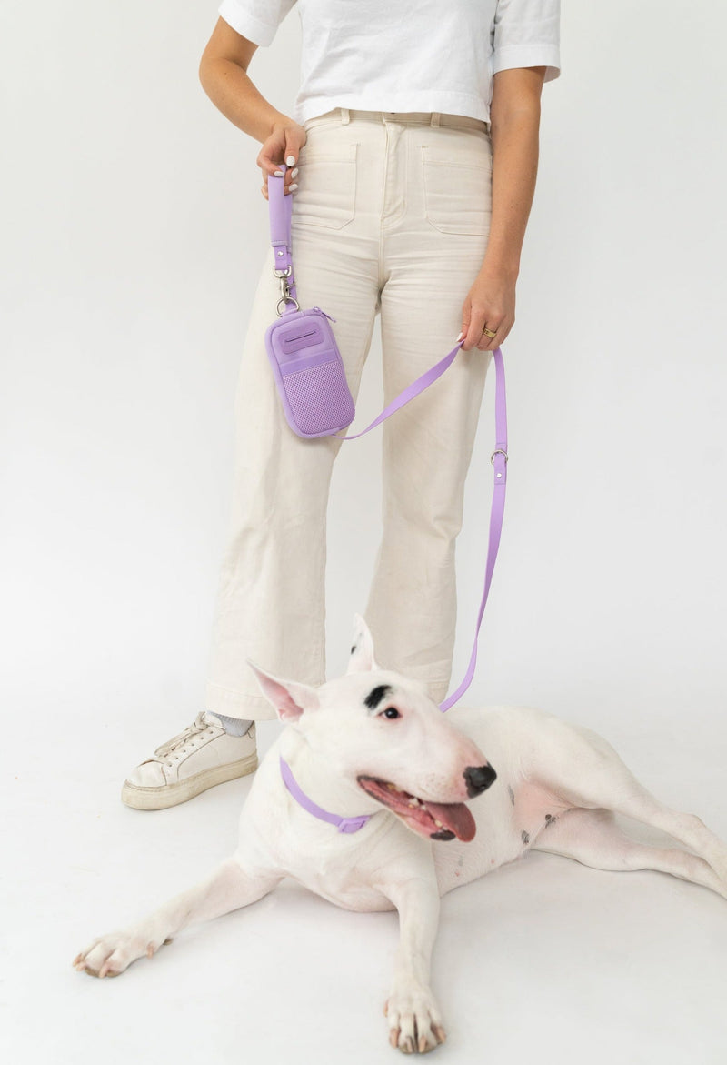 Walk Bag + Leash by Springer