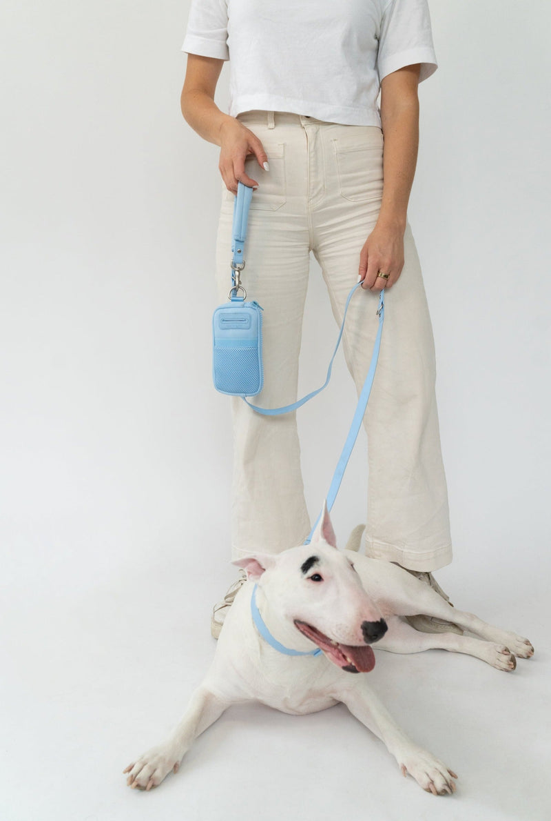 Walk Bag + Leash by Springer