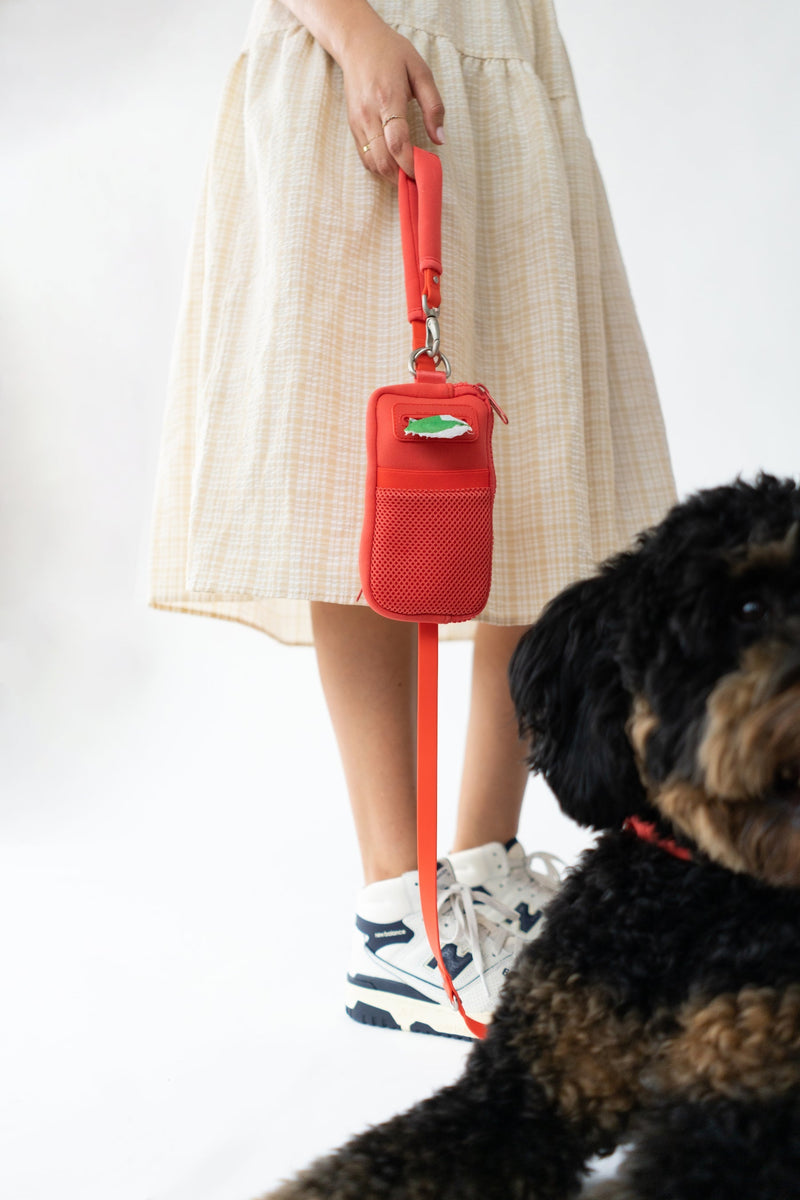 Walk Bag + Leash by Springer