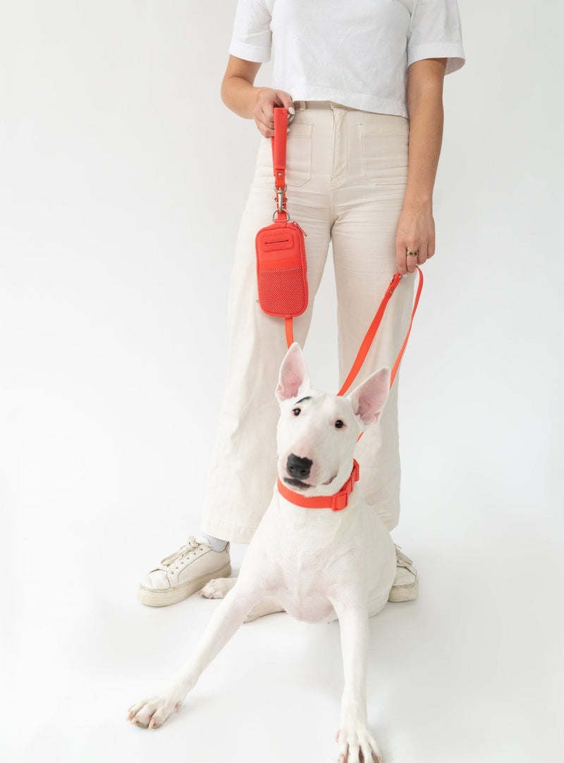 Walk Bag + Leash by Springer