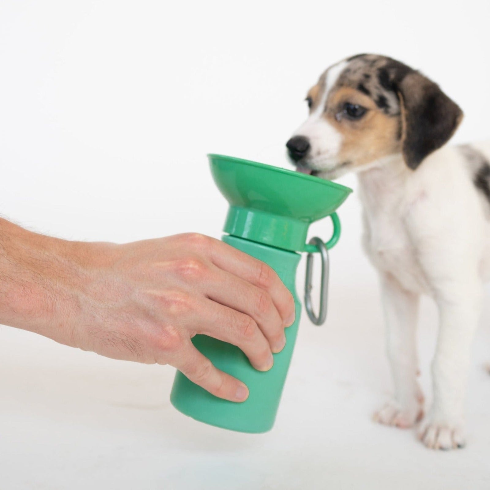 Mini Dog Travel Bottle By Springer ellenshop