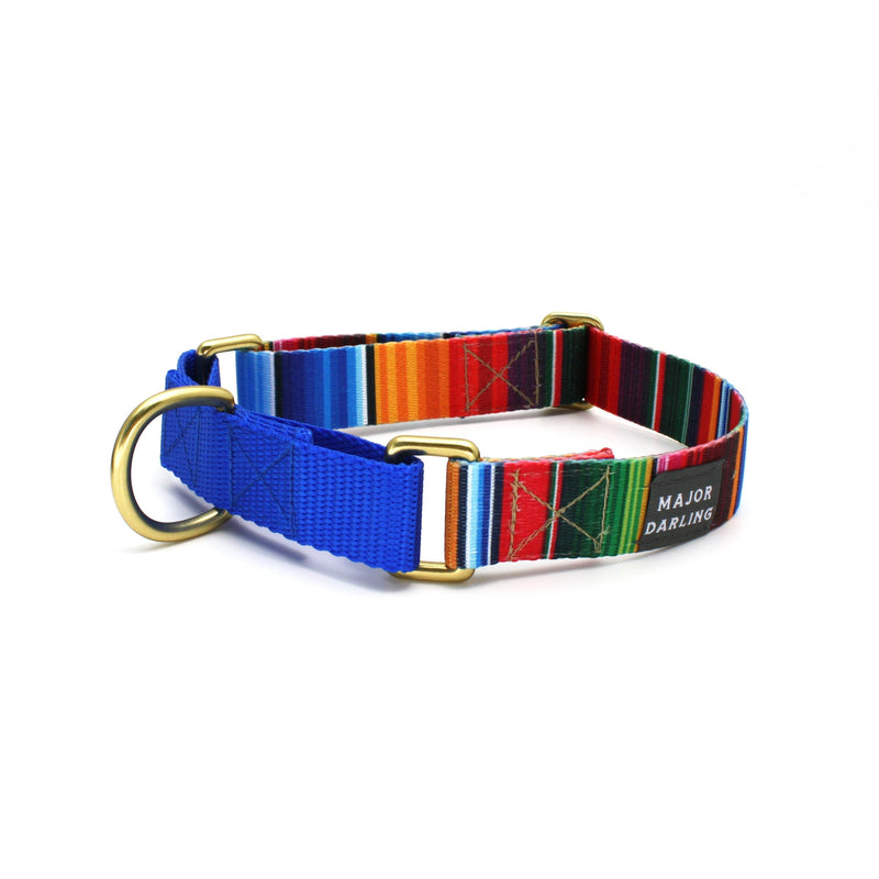 Ellen degeneres dog collars sale
