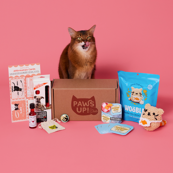 Paws Up Club Box - The Love Curation