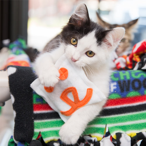 Catnip Kitty Toy, Orange Logo