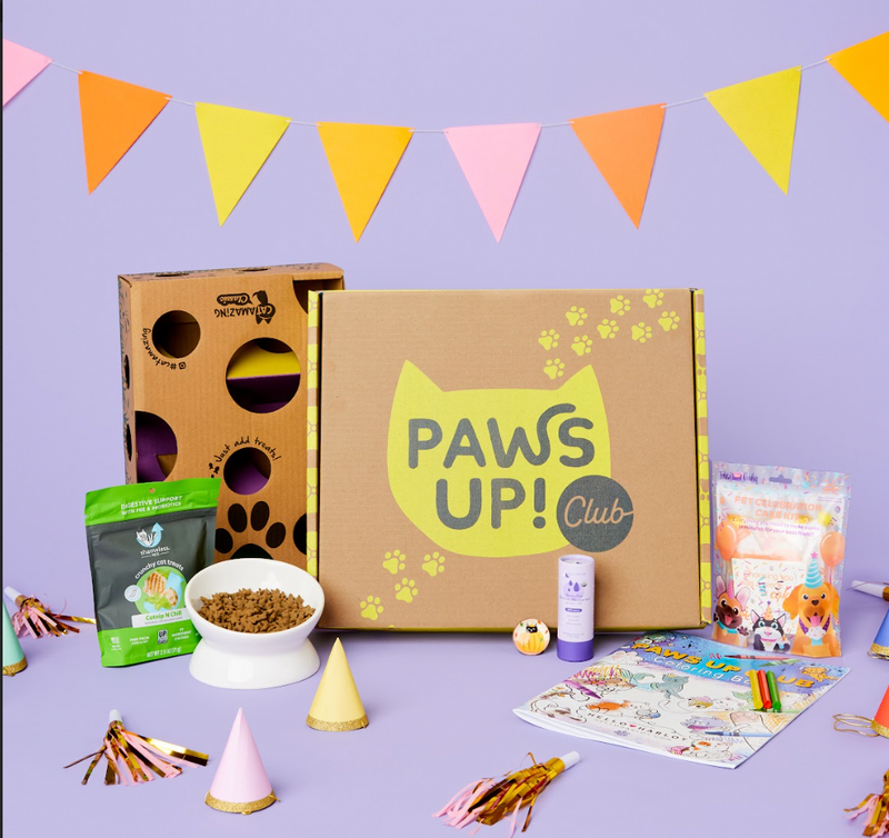 Paws Up Club Box - Out of This World Curation