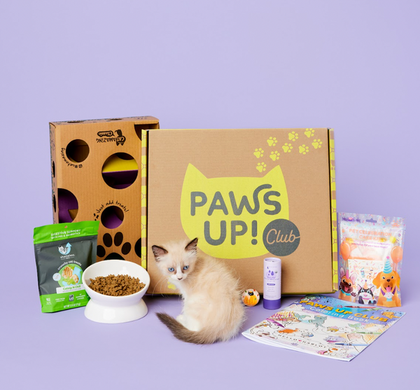 Paws Up Club Box - Out of This World Curation