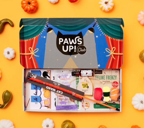 Paws Up Club Box – Magical Curation