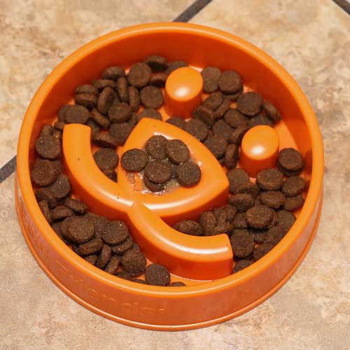 Whoa Doggie Slo-bowl