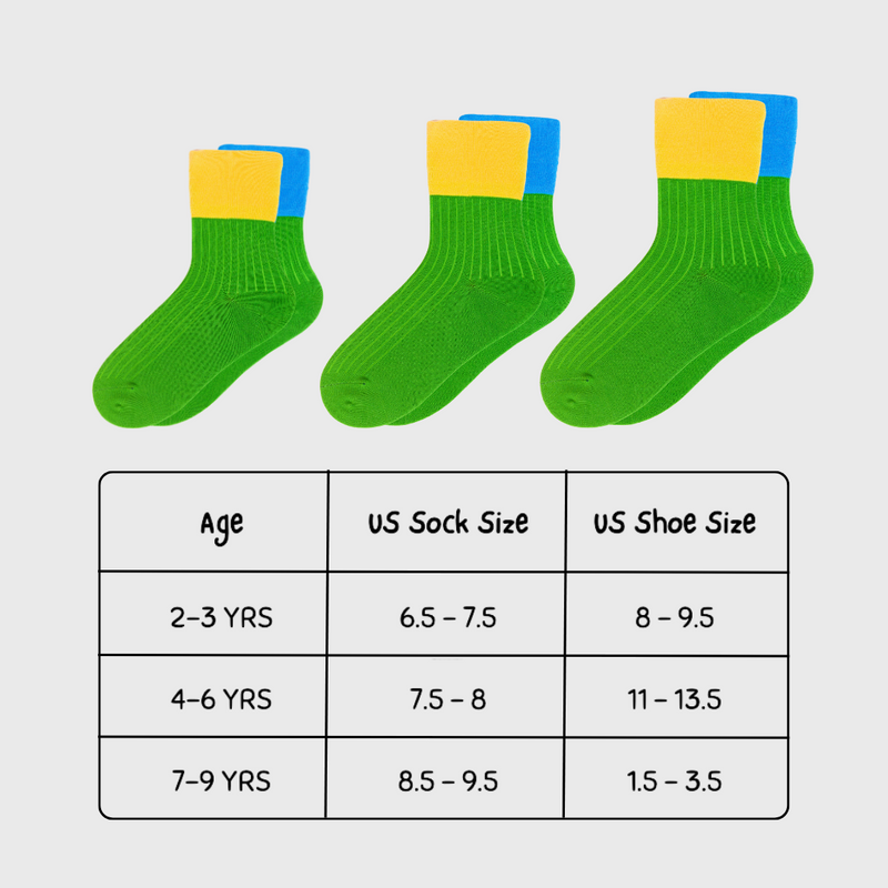 Color Wheel Seamless Socks (3 Pack)