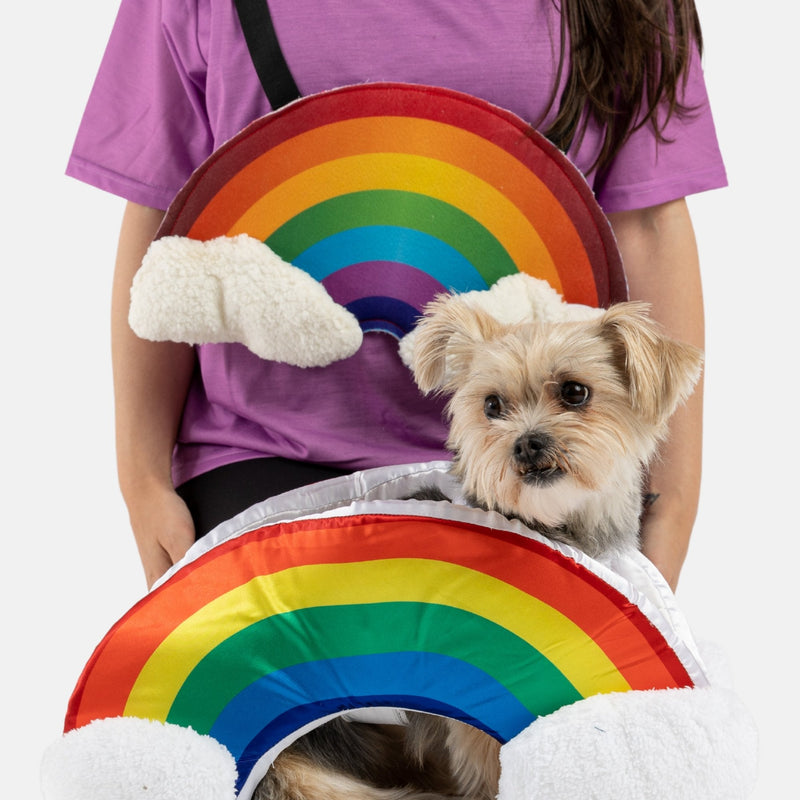 Rainbow Matching Human Dog Costume