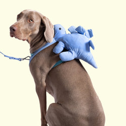 Ed by ellen dog harness clearance