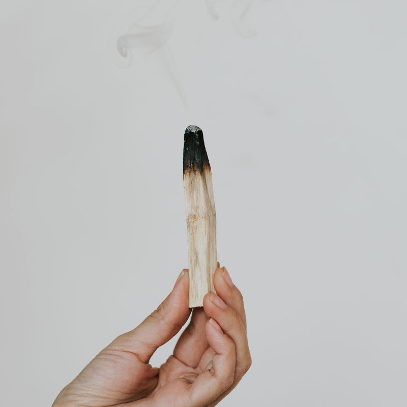 Palo Santo by Before Noon