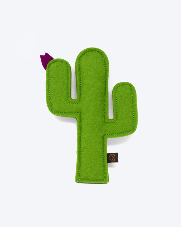 Kitty Cactus by MODERNBEAST