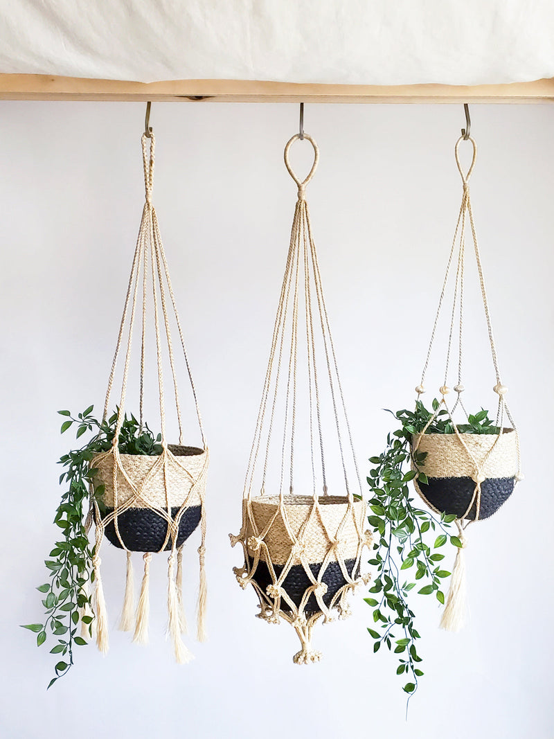 Shuly Plant Hanger by KORISSA