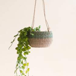 Natural + Sage Hanging Planter by LIKHÂ