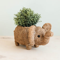 Elephant Plant Pot - Handmade Planter | LIKHÂ by LIKHÂ